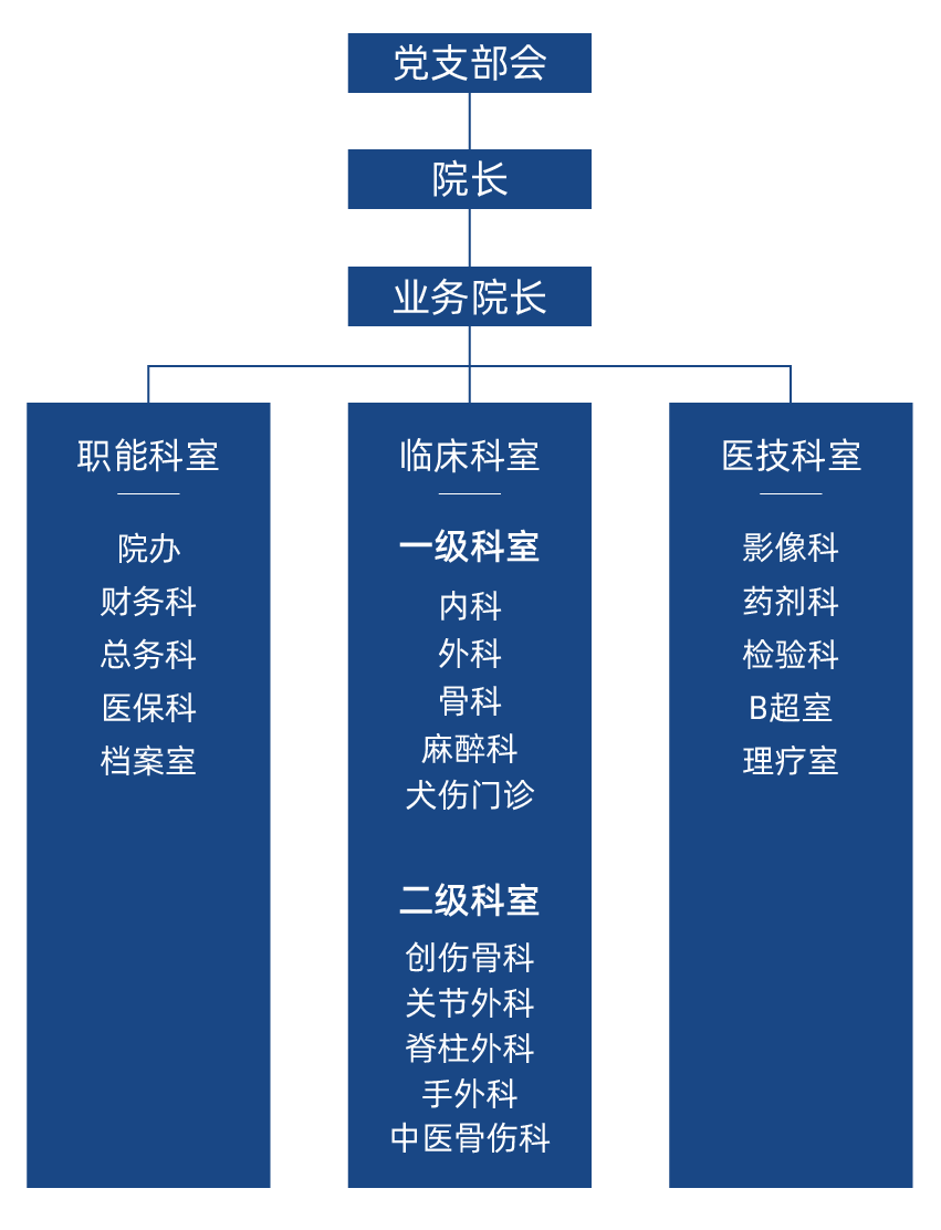 医院组织架构_画板 1.png